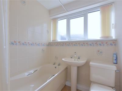 Picture 16